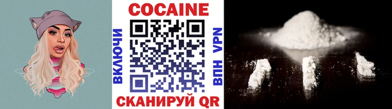 Кокаин Fish Scale  купить закладку  Райчихинск 